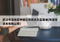 武汉布洛克区块链公司技术总监是谁[布洛克资本有限公司]